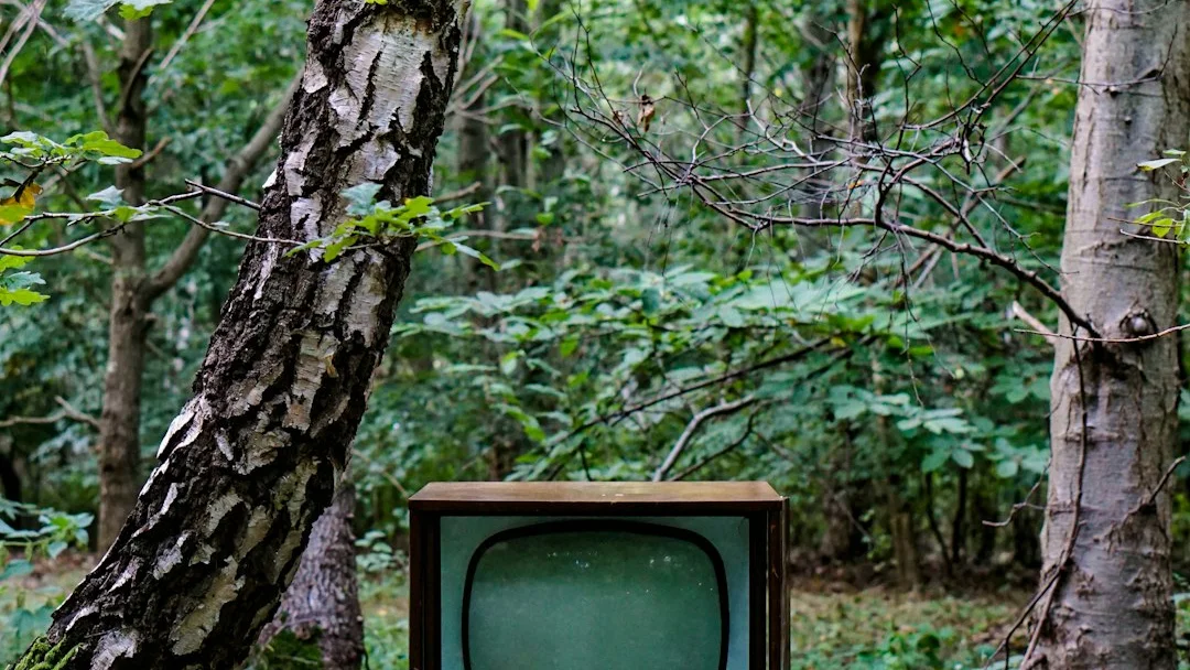 Common Reasons for the Invalid M3U URL Error