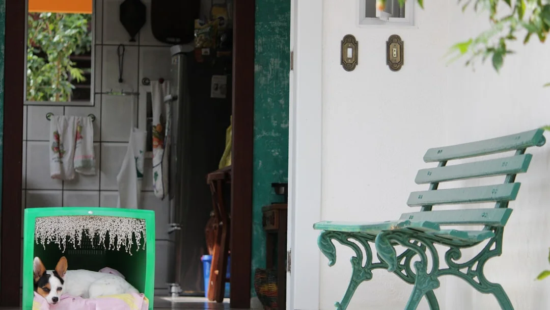 Why Your IPTV App Crashes on Only One Device